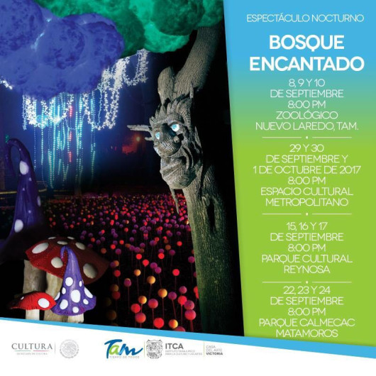 Invitan a disfrutar espectáculo Bosque Encantado