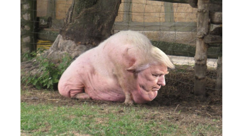 La foto que más odia Donald Trump de sí mismo