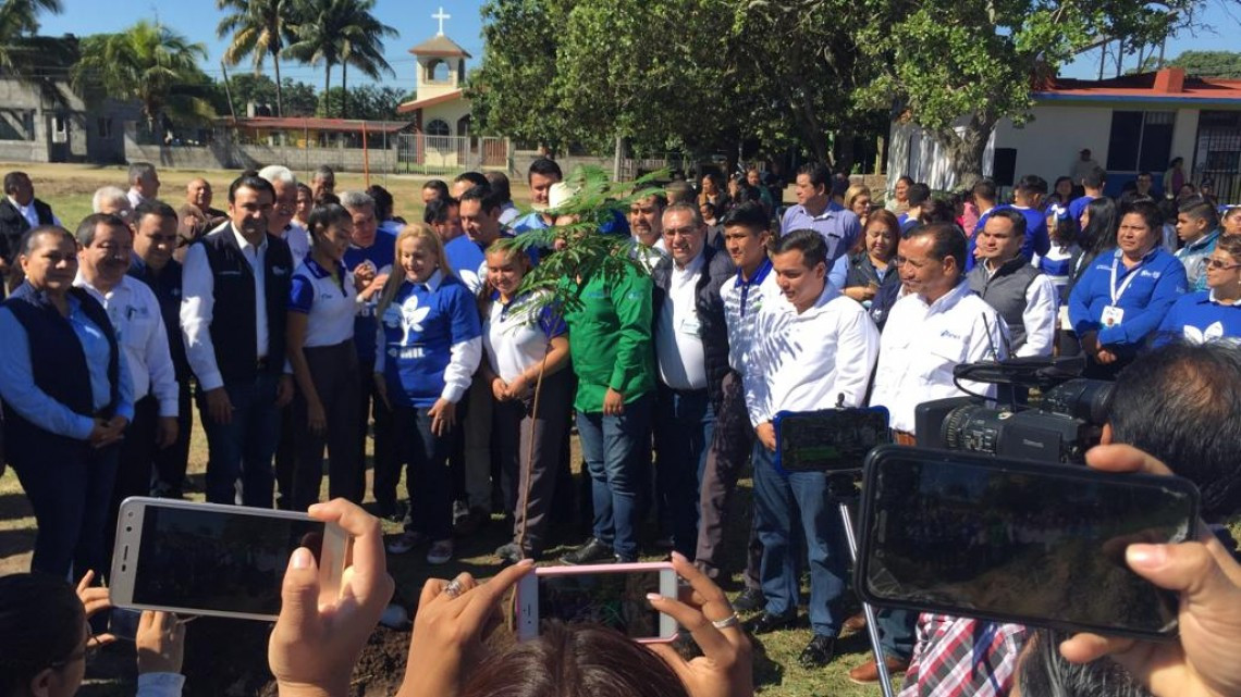 Siembran el árbol número 20 mil como parte de campaña de reforestación en el estado