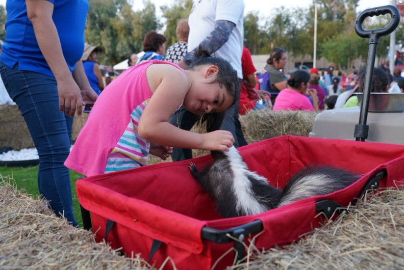 Vive en Nuevo Laredo una fiesta de arte y cultura con la inauguración del espacio cultural y artístico del parque Viveros