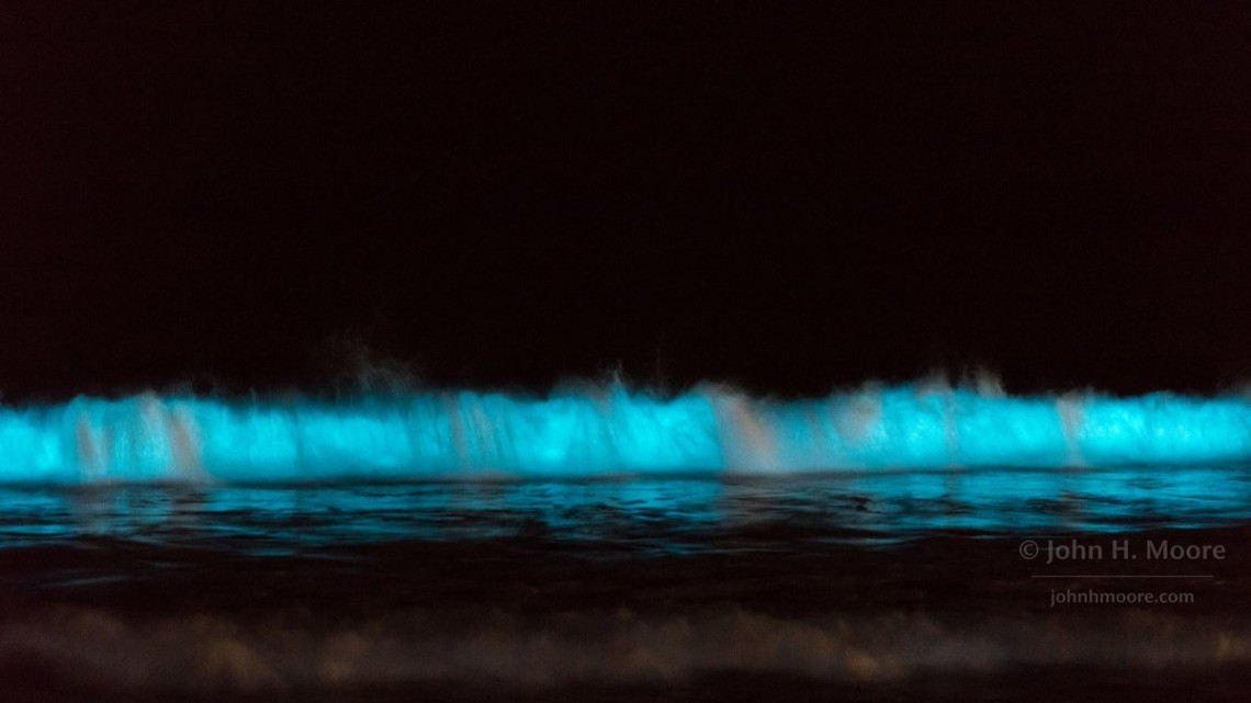 Las playas de San Diego se visten de azul-neón