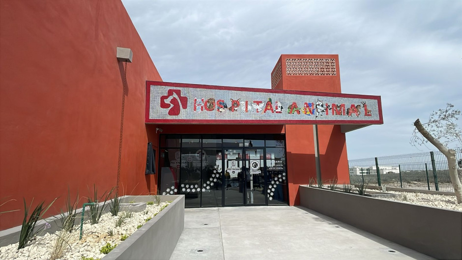 Hospital Veterinario en Reynosa brindará atención a bajo costo