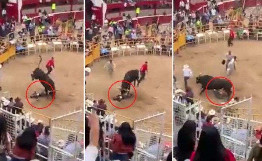 Toro aplasta a jinete en pleno show en Morelia