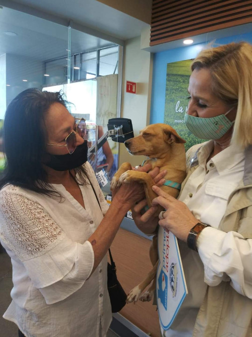 Participa protectora de animales en campaña nacional 