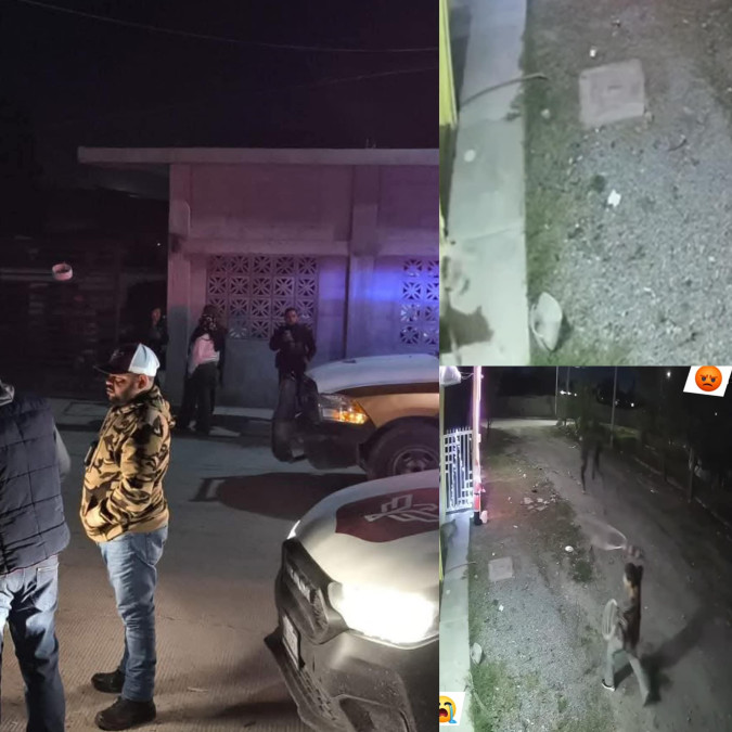 Menor asesina cruelmente a perrito de la calle: autoridades se pronuncian al respecto