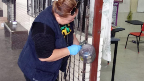 Roban primaria por segunda ocasión en medio año