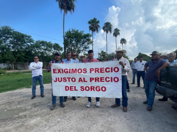 Campesinos  insisten en diálogo para asegurar pago por sorgo