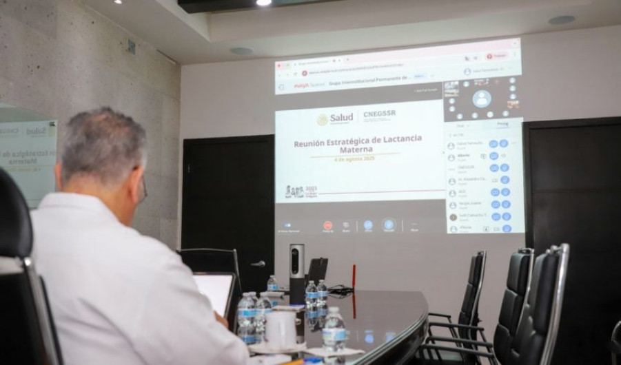 Lactancia materna; prioridad de salud pública: SST