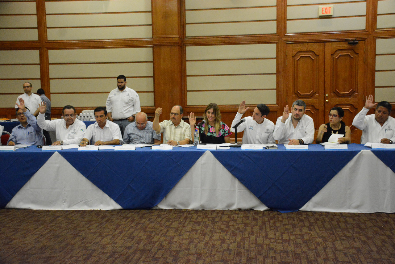 COPLADEM aprueba nuevo Programa