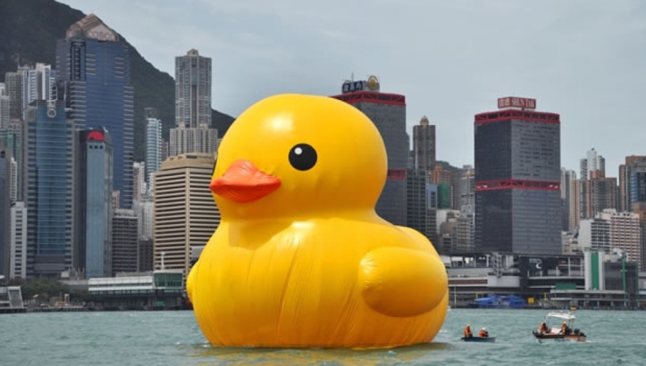 Contaminados patitos de hule según estudios