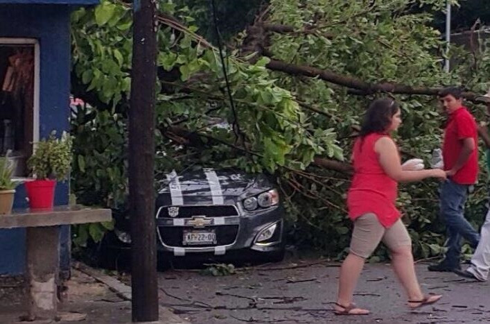 Deja severos daños tromba en Ciudad Acuña