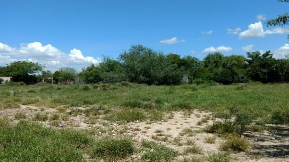 SSP asegura armas de calibre alto 