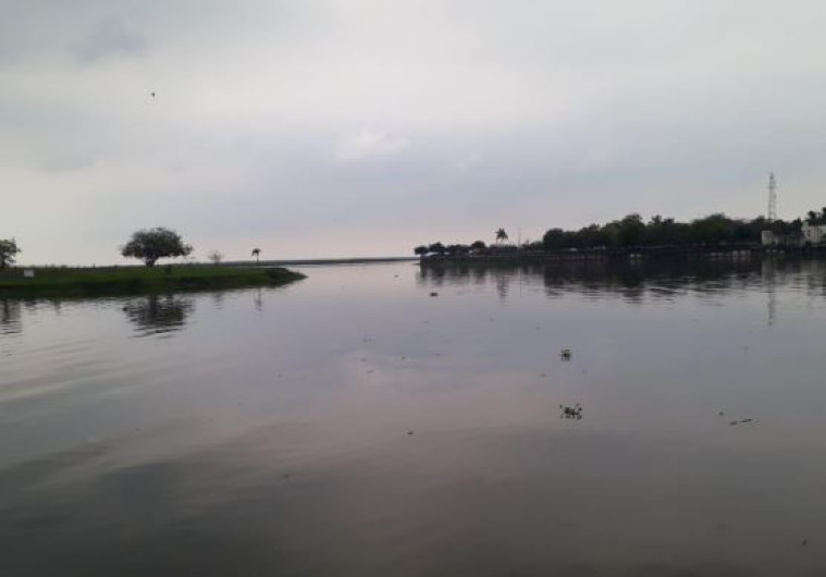 Ganaderos y agricultores, los más beneficiados con las lluvias en la zona Sur