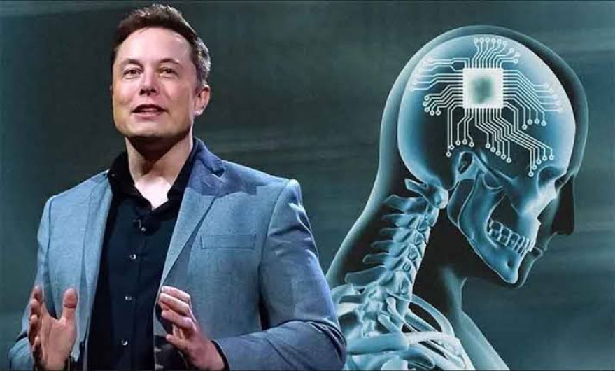 FDA rechaza oferta de Elon Musk de chips cerebrales en humanos
