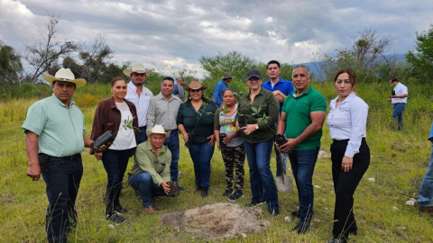  Promueven conciencia ambiental con donación de plantas forestales