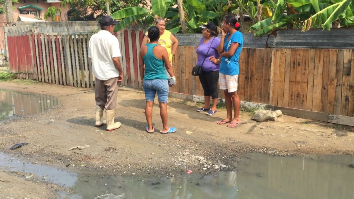Brotes de aguas negras de más de ocho años en zonas bajas
