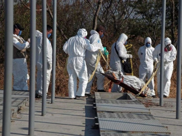 Noveno cadáver de fosas de Tetelcingo es identificado