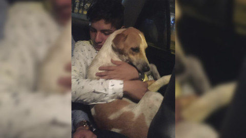 Chico ebrio se hace viral al adoptar a un perro