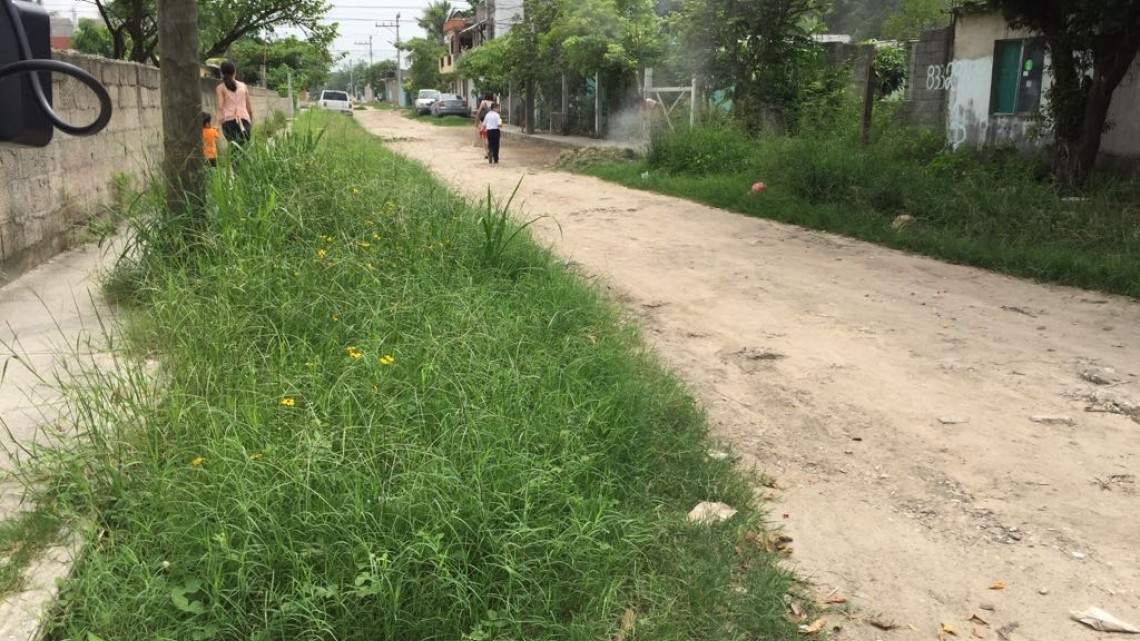 Municipio se suma a la lucha contra mosco transmisor de enfermedades.