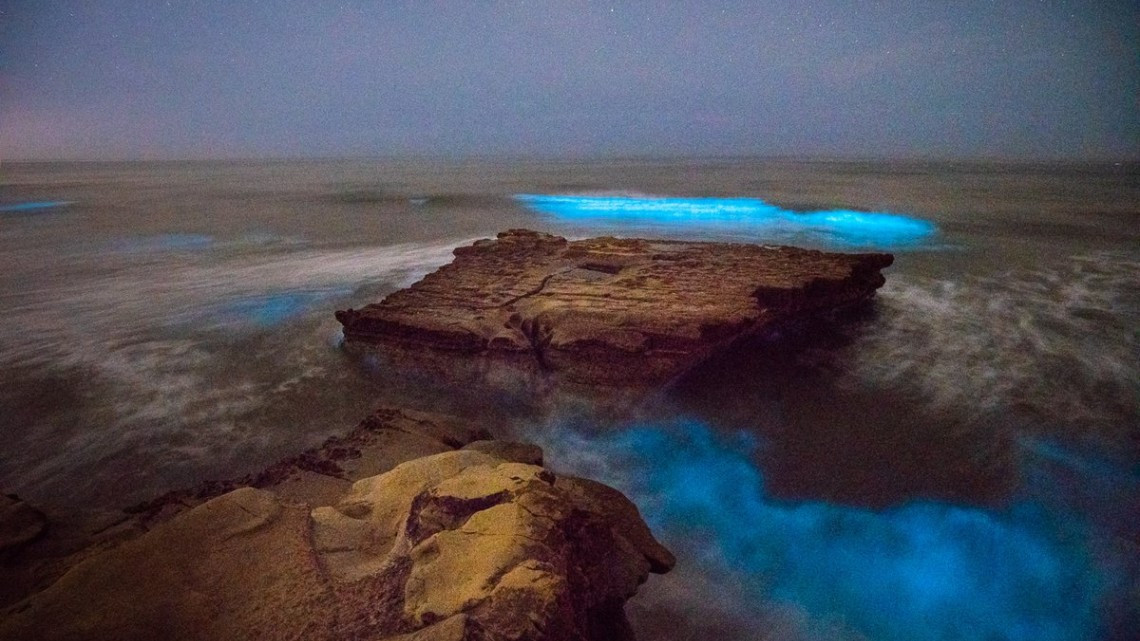 Las playas de San Diego se visten de azul-neón