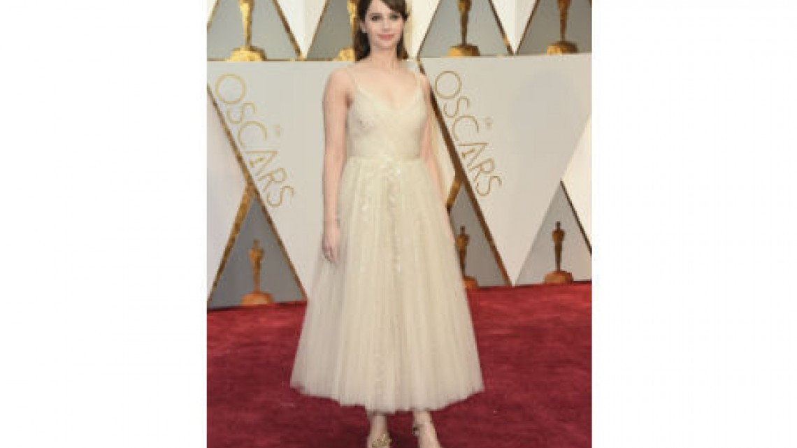 Los mejores y peores vestidos de los premios Oscar 2017