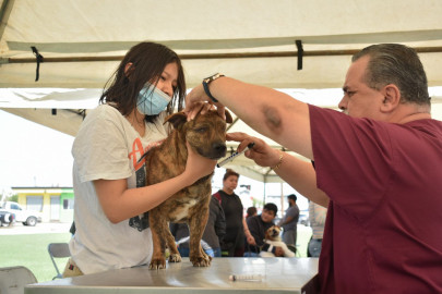 Realizará Gobierno Municipal este miércoles brigada médica y de salud animal