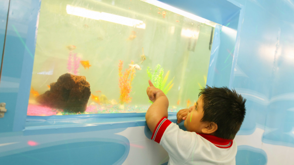 DIF Tamaulipas participan en la Feria Tamaulipas 2017