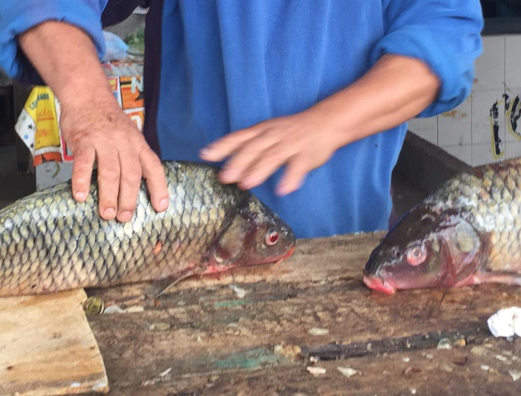 Emprenden acciones de verificación en establecimientos dedicados a la venta de mariscos