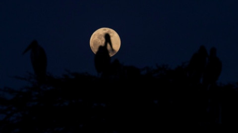 Así se vivió la "luna de sangre" en Asia, África y Europa