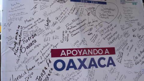 Ciudadanos responden antes afectaciones de sismos