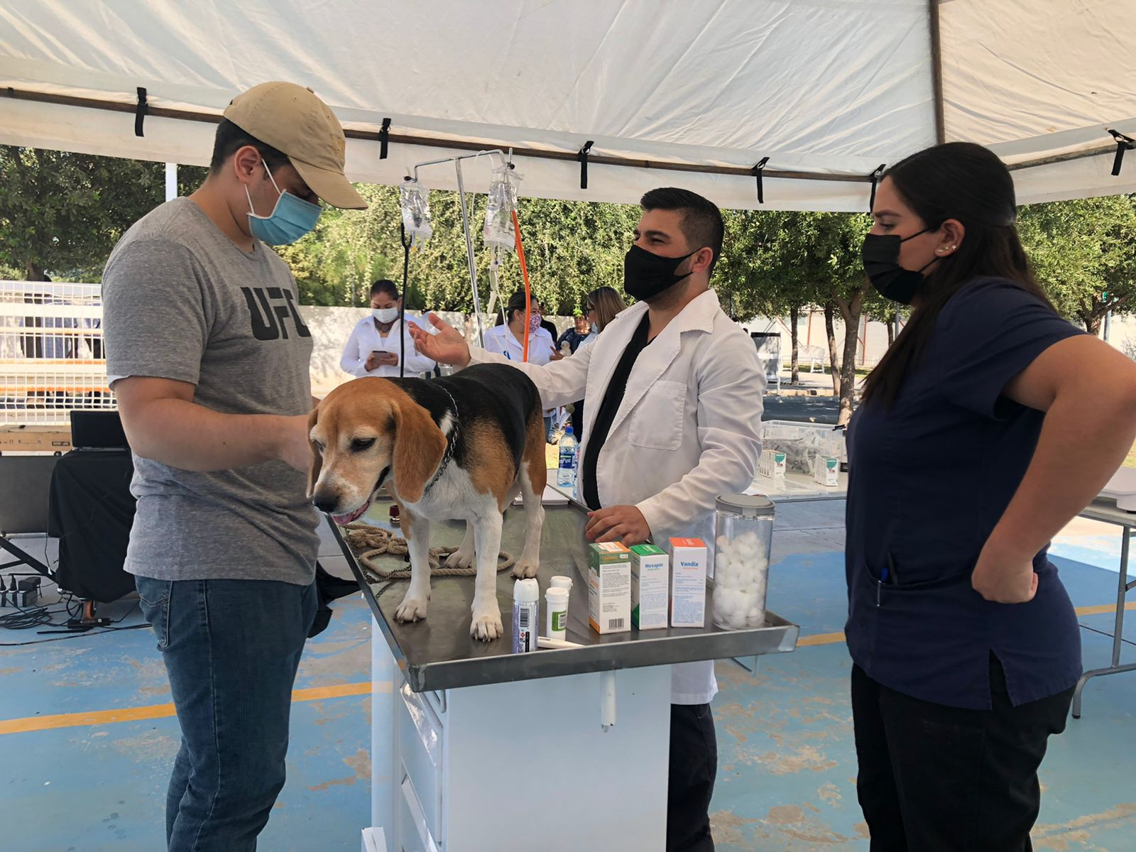 Gobierno Municipal de Nuevo Laredo realiza la primera "Campaña Itinerante de Salud Animal" 