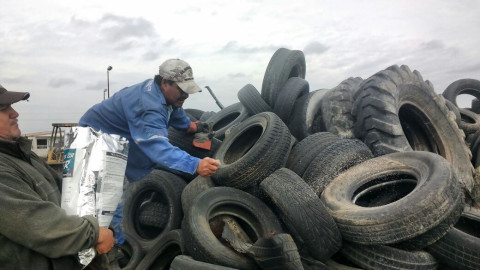 Capacitan en prevención del mosco transmisor del dengue