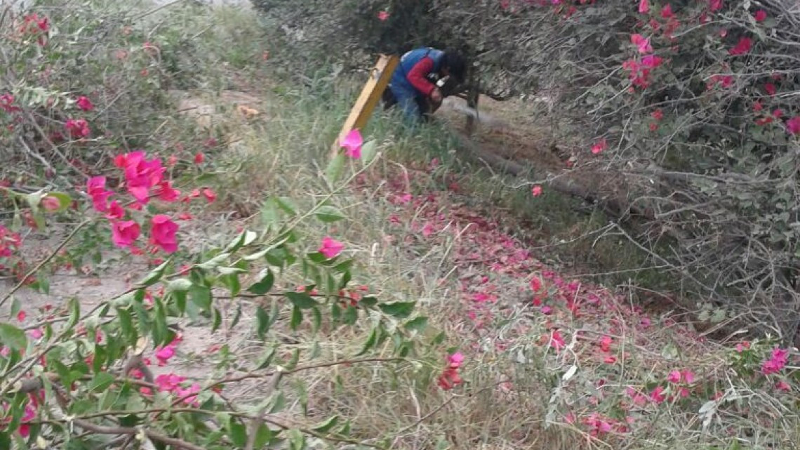 Realizan cuadrillas de SPP limpieza de plazas públicas