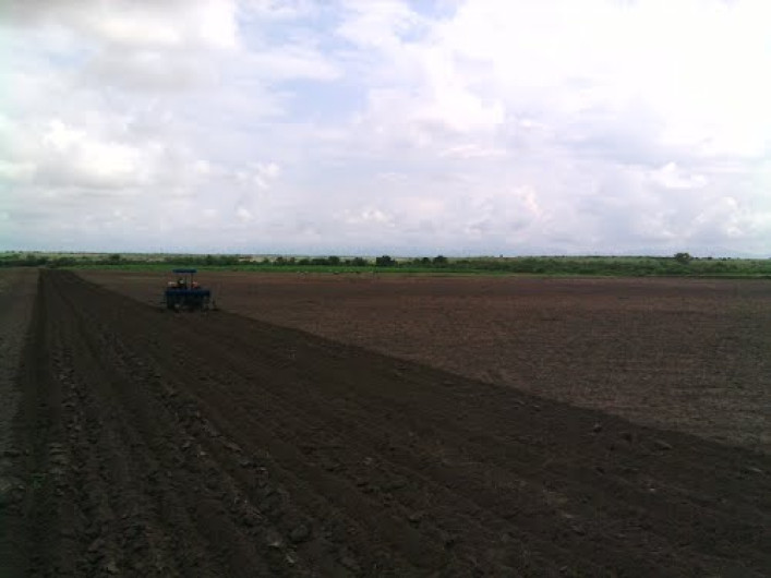 Por clima aún no se siembre en municipio