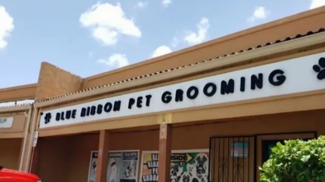 Estética canina de Brownsville es denunciada por maltrato animal