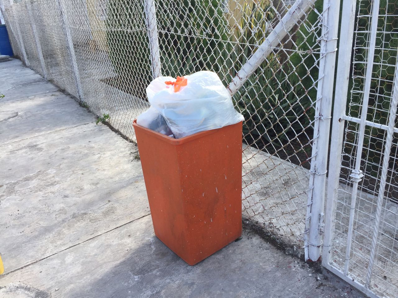 Niega Humberto Solezzi crisis en limpieza pública