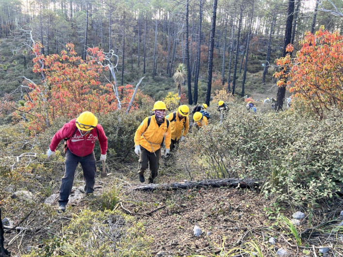 Fortalece Tamaulipas respuesta ante incendios forestales