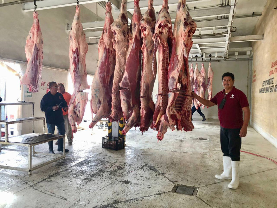 Se triplica el sacrificio de bovinos en rastro municipal