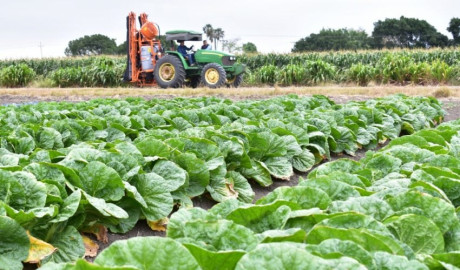 Tamaulipas lidera crecimiento nacional en actividades primarias con alza del 24.3 %