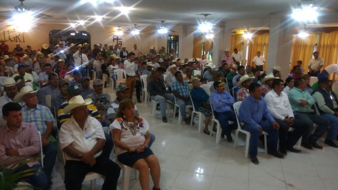 Ofrece Mejoramiento Genético Tam 2017 sementales de calidad