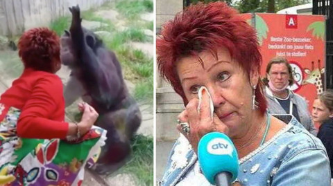 Expulsan a mujer de zoológico por mantener relación con un primate