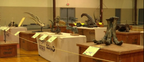 Escuela en Texas incluye estudio de fósiles de dinosaurios en plan educativo
