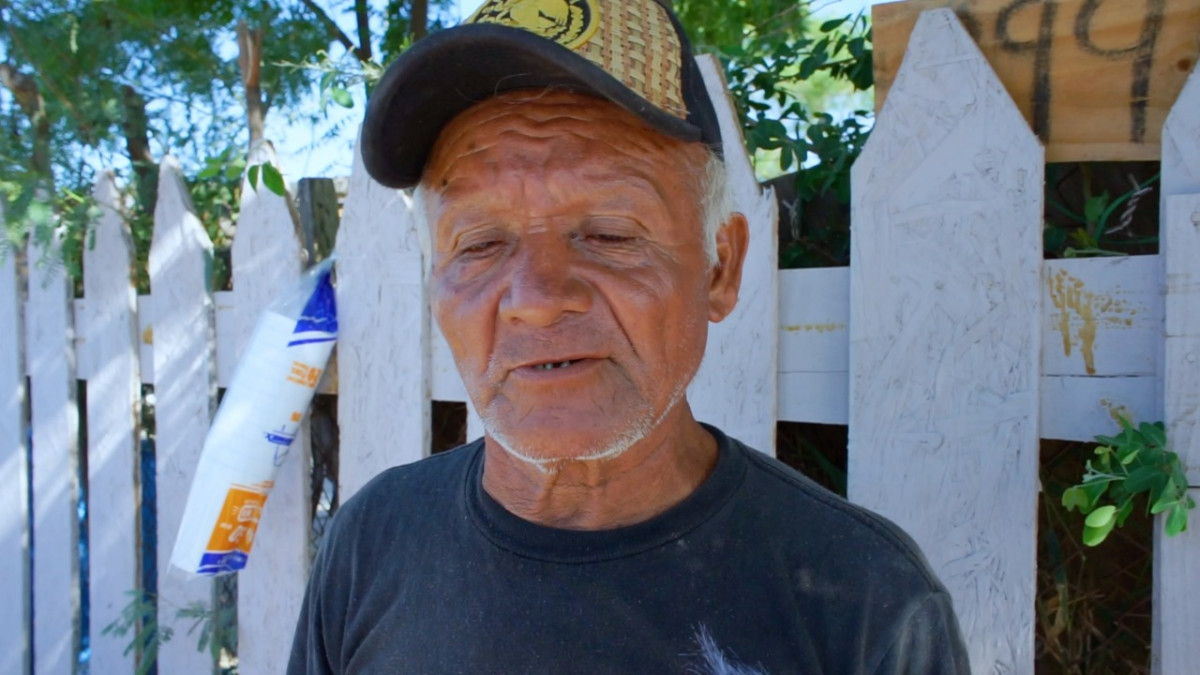 Avalan ciudadanos medidas para terminar con maltrato animal