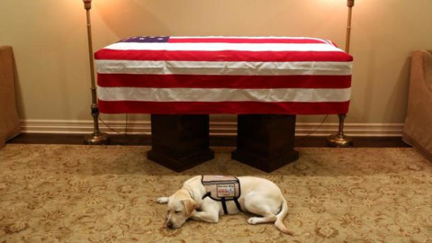 Sully, el fiel acompañante de George H.W. Bush