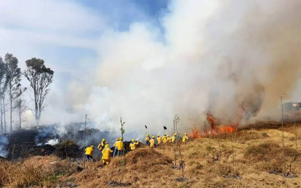 Persecución policial termina en incendio de pastizal 