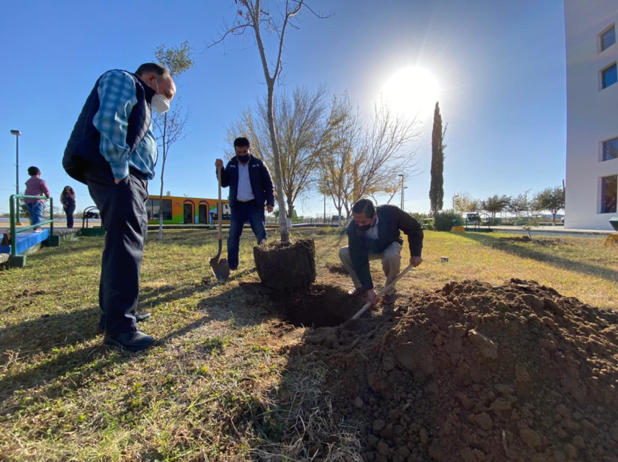 Institución educativa promueve la reforestación