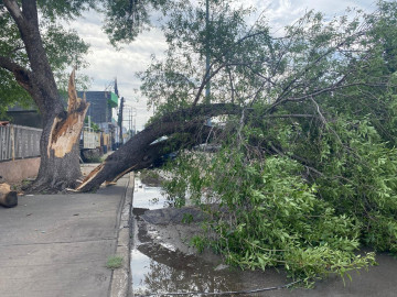Siguen afectaciones por tormenta en Nuevo Laredo 