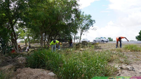 Realizan acciones de limpieza en Libramiento