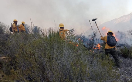 Refuerzan coordinación Estado y Federación para combatir incendios 