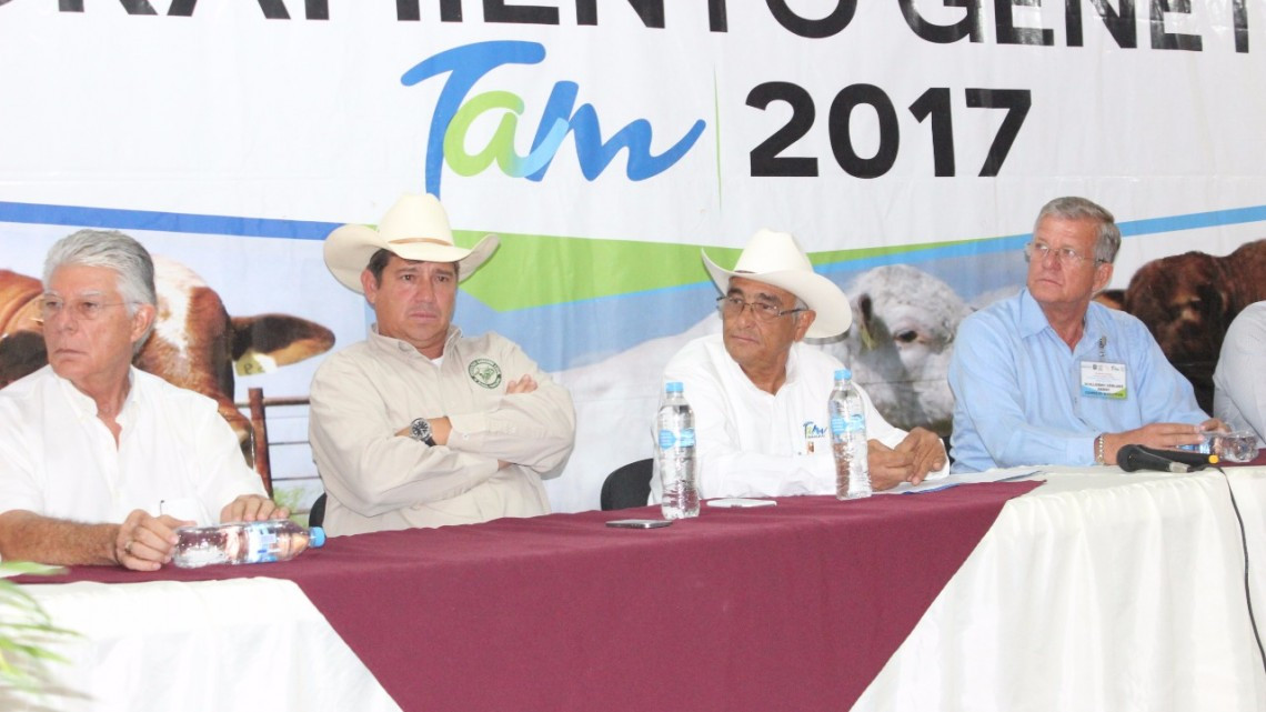 Ofrece Mejoramiento Genético Tam 2017 sementales de calidad